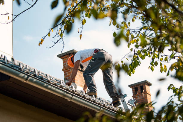 Best Roof Gutter Cleaning  in Old Orchard, PA
